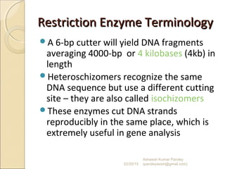 Restriction Enzyme TerminologyRestriction Enzyme Terminology
A 6-bp cutter will yield DNA fragments
averaging 4000-bp or 4 kilobases (4kb) in
length
Heteroschizomers recognize the same
DNA sequence but use a different cutting
site – they are also called isochizomers
These enzymes cut DNA strands
reproducibly in the same place, which is
extremely useful in gene analysis
02/20/15
Asheesh Kumar Pandey
(pandeyasish@gmail.com)
 