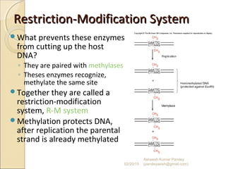 Restriction-Modification SystemRestriction-Modification System
What prevents these enzymes
from cutting up the host
DNA?
◦ They are paired with methylases
◦ Theses enzymes recognize,
methylate the same site
Together they are called a
restriction-modification
system, R-M system
Methylation protects DNA,
after replication the parental
strand is already methylated
02/20/15
Asheesh Kumar Pandey
(pandeyasish@gmail.com)
 