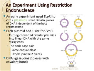 An Experiment Using RestrictionAn Experiment Using Restriction
EndonucleaseEndonuclease
An early experiment used EcoRI to
cut 2 plasmids, small circular pieces
of DNA independent of the host
chromosome
Each plasmid had 1 site for EcoRI
◦ Cutting converted circular plasmids
into linear DNA with the same
sticky ends
◦ The ends base pair
 Some ends re-close
 Others join the 2 pieces
DNA ligase joins 2 pieces with
covalent bonds
02/20/15
Asheesh Kumar Pandey
(pandeyasish@gmail.com)
 