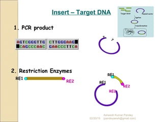 Insert – Target DNA
2. Restriction Enzymes
1. PCR product
RE1
RE2
RE1
RE1
RE2
RE2
T
T
02/20/15
Asheesh Kumar Pandey
(pandeyasish@gmail.com)
 