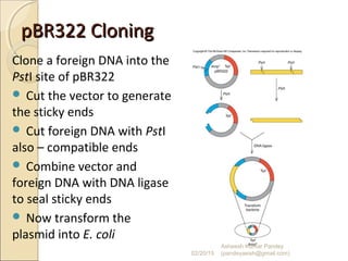 pBR322 CloningpBR322 Cloning
Clone a foreign DNA into the
PstI site of pBR322
 Cut the vector to generate
the sticky ends
 Cut foreign DNA with PstI
also – compatible ends
 Combine vector and
foreign DNA with DNA ligase
to seal sticky ends
 Now transform the
plasmid into E. coli
02/20/15
Asheesh Kumar Pandey
(pandeyasish@gmail.com)
 