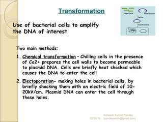 Transformation
Two main methods:
1. Chemical transformation – Chilling cells in the presence
of Ca2+ prepares the cell walls to become permeable
to plasmid DNA. Cells are briefly heat shocked which
causes the DNA to enter the cell
2. Electoporation- making holes in bacterial cells, by
briefly shocking them with an electric field of 10-
20kV/cm. Plasmid DNA can enter the cell through
these holes.
Use of bacterial cells to amplify
the DNA of interest
02/20/15
Asheesh Kumar Pandey
(pandeyasish@gmail.com)
 