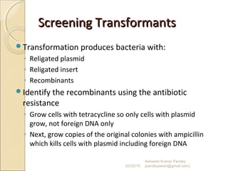 Screening TransformantsScreening Transformants
Transformation produces bacteria with:
◦ Religated plasmid
◦ Religated insert
◦ Recombinants
Identify the recombinants using the antibiotic
resistance
◦ Grow cells with tetracycline so only cells with plasmid
grow, not foreign DNA only
◦ Next, grow copies of the original colonies with ampicillin
which kills cells with plasmid including foreign DNA
02/20/15
Asheesh Kumar Pandey
(pandeyasish@gmail.com)
 