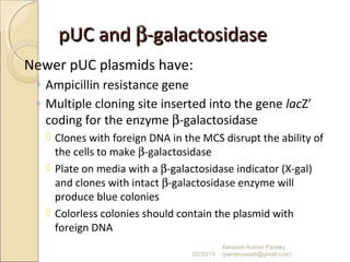pUC andpUC and ββ-galactosidase-galactosidase
Newer pUC plasmids have:
◦ Ampicillin resistance gene
◦ Multiple cloning site inserted into the gene lacZ’
coding for the enzyme β-galactosidase
 Clones with foreign DNA in the MCS disrupt the ability of
the cells to make β-galactosidase
 Plate on media with a β-galactosidase indicator (X-gal)
and clones with intact β-galactosidase enzyme will
produce blue colonies
 Colorless colonies should contain the plasmid with
foreign DNA
02/20/15
Asheesh Kumar Pandey
(pandeyasish@gmail.com)
 