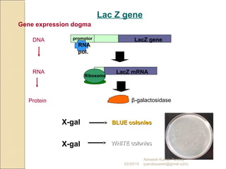 Lac Z gene
LacZ genepromotor
RNA
pol.
Gene expression dogma
DNA
LacZ mRNA
Ribosome
β-galactosidase
RNA
Protein
X-gal BLUE coloniesBLUE colonies
WHITEWHITE coloniescoloniesX-gal
02/20/15
Asheesh Kumar Pandey
(pandeyasish@gmail.com)
 