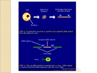 02/20/15
Asheesh Kumar Pandey
(pandeyasish@gmail.com)
 