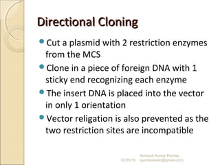 Directional CloningDirectional Cloning
Cut a plasmid with 2 restriction enzymes
from the MCS
Clone in a piece of foreign DNA with 1
sticky end recognizing each enzyme
The insert DNA is placed into the vector
in only 1 orientation
Vector religation is also prevented as the
two restriction sites are incompatible
02/20/15
Asheesh Kumar Pandey
(pandeyasish@gmail.com)
 