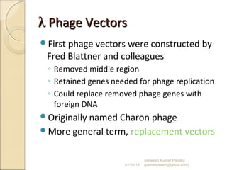 λλ Phage VectorsPhage Vectors
First phage vectors were constructed by
Fred Blattner and colleagues
◦ Removed middle region
◦ Retained genes needed for phage replication
◦ Could replace removed phage genes with
foreign DNA
Originally named Charon phage
More general term, replacement vectors
02/20/15
Asheesh Kumar Pandey
(pandeyasish@gmail.com)
 