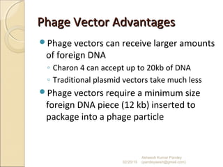 Phage Vector AdvantagesPhage Vector Advantages
Phage vectors can receive larger amounts
of foreign DNA
◦ Charon 4 can accept up to 20kb of DNA
◦ Traditional plasmid vectors take much less
Phage vectors require a minimum size
foreign DNA piece (12 kb) inserted to
package into a phage particle
02/20/15
Asheesh Kumar Pandey
(pandeyasish@gmail.com)
 