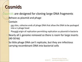 CosmidsCosmids
Cosmids are designed for cloning large DNA fragments
◦ Behave as plasmid and phage
◦ Contain
 cos sites, cohesive ends of phage DNA that allow the DNA to be packaged
into a λ phage head
 Plasmid origin of replication permitting replication as plasmid in bacteria
◦ Nearly all λ genome removed so there is room for large inserts
(40-50 kb)
◦ So little phage DNA can’t replicate, but they are infectious
carrying recombinant DNA into bacterial cells
02/20/15
Asheesh Kumar Pandey
(pandeyasish@gmail.com)
 