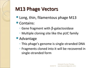 M13 Phage VectorsM13 Phage Vectors
Long, thin, filamentous phage M13
Contains:
◦ Gene fragment with β-galactosidase
◦ Multiple cloning site like the pUC family
Advantage
◦ This phage’s genome is single-stranded DNA
◦ Fragments cloned into it will be recovered in
single-stranded form
02/20/15
Asheesh Kumar Pandey
(pandeyasish@gmail.com)
 