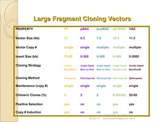 PROPERTY P1 pBAC pucBAC pCYPAC YAC
Vector Size (kb) 31 6.5 7.2 19.3 11.5
Vector Copy # single single multiple multiple multiple
Insert Size (kb) 75-95 0-300 0-300 0-300 0-2000
Cloning Strategy 2 arms single digest single digest single digest double digest
BamHI/ScaI Bam or Hind Bam or Hind Bam/Sca link Bam/EcoRI
Cloning Method Packaging Electroporate Electroporate Electroporate Spheroplast
Maintenance (copy #) single single single single single
Chimeric Clones (%) 0 2 2 0 (24/24) 20-60
Positive Selection yes no no yes yes
Copy # Induction yes no no yes no
Large Fragment Cloning VectorsLarge Fragment Cloning Vectors
02/20/15
Asheesh Kumar Pandey
(pandeyasish@gmail.com)
 