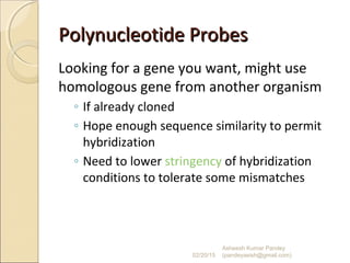 Polynucleotide ProbesPolynucleotide Probes
Looking for a gene you want, might use
homologous gene from another organism
◦ If already cloned
◦ Hope enough sequence similarity to permit
hybridization
◦ Need to lower stringency of hybridization
conditions to tolerate some mismatches
02/20/15
Asheesh Kumar Pandey
(pandeyasish@gmail.com)
 