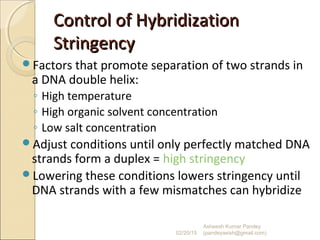 Control of HybridizationControl of Hybridization
StringencyStringency
Factors that promote separation of two strands in
a DNA double helix:
◦ High temperature
◦ High organic solvent concentration
◦ Low salt concentration
Adjust conditions until only perfectly matched DNA
strands form a duplex = high stringency
Lowering these conditions lowers stringency until
DNA strands with a few mismatches can hybridize
02/20/15
Asheesh Kumar Pandey
(pandeyasish@gmail.com)
 