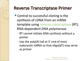 Reverse Transcriptase PrimerReverse Transcriptase Primer
Central to successful cloning is the
synthesis of cDNA from an mRNA
template using reverse transcriptase (RT),
RNA-dependent DNA polymerase
◦ RT cannot initiate DNA synthesis without a
primer
◦ Use the poly(A) tail at 3’ end of most
eukaryotic mRNA so that oligo(dT) may serve
as primer
02/20/15
Asheesh Kumar Pandey
(pandeyasish@gmail.com)
 