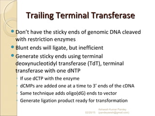 Trailing Terminal TransferaseTrailing Terminal Transferase
Don’t have the sticky ends of genomic DNA cleaved
with restriction enzymes
Blunt ends will ligate, but inefficient
Generate sticky ends using terminal
deoxynucleotidyl transferase (TdT), terminal
transferase with one dNTP
◦ If use dCTP with the enzyme
◦ dCMPs are added one at a time to 3’ ends of the cDNA
◦ Same technique adds oligo(dG) ends to vector
◦ Generate ligation product ready for transformation
02/20/15
Asheesh Kumar Pandey
(pandeyasish@gmail.com)
 