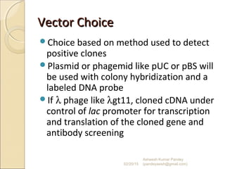 Vector ChoiceVector Choice
Choice based on method used to detect
positive clones
Plasmid or phagemid like pUC or pBS will
be used with colony hybridization and a
labeled DNA probe
If λ phage like λgt11, cloned cDNA under
control of lac promoter for transcription
and translation of the cloned gene and
antibody screening
02/20/15
Asheesh Kumar Pandey
(pandeyasish@gmail.com)
 