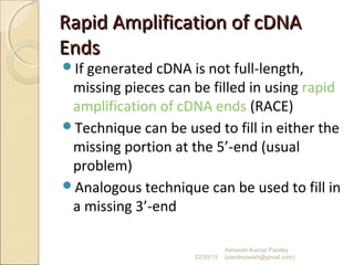 Rapid Amplification of cDNARapid Amplification of cDNA
EndsEnds
If generated cDNA is not full-length,
missing pieces can be filled in using rapid
amplification of cDNA ends (RACE)
Technique can be used to fill in either the
missing portion at the 5’-end (usual
problem)
Analogous technique can be used to fill in
a missing 3’-end
02/20/15
Asheesh Kumar Pandey
(pandeyasish@gmail.com)
 