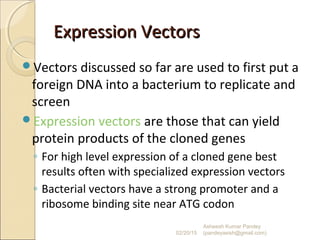 Expression VectorsExpression Vectors
Vectors discussed so far are used to first put a
foreign DNA into a bacterium to replicate and
screen
Expression vectors are those that can yield
protein products of the cloned genes
◦ For high level expression of a cloned gene best
results often with specialized expression vectors
◦ Bacterial vectors have a strong promoter and a
ribosome binding site near ATG codon
02/20/15
Asheesh Kumar Pandey
(pandeyasish@gmail.com)
 