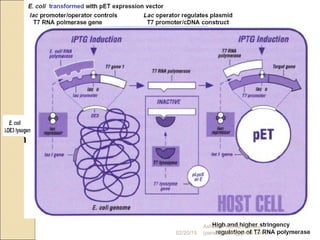 02/20/15
Asheesh Kumar Pandey
(pandeyasish@gmail.com)
 