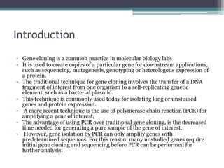 Gene cloning | PPTX