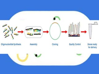 Gene cloning | PPTX