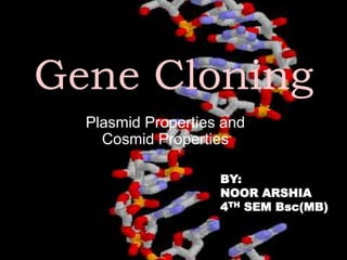 Gene Cloning
Plasmid Properties and
Cosmid Properties
BY:
NOOR ARSHIA
4TH SEM Bsc(MB)
 