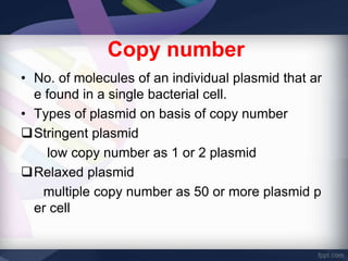 Gene cloning | PPTX