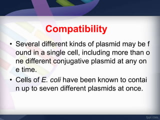 Compatible Plasmids Gene cloning | PPTX