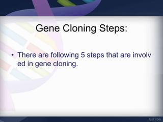 Gene cloning | PPTX