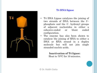 Basics of Gene cloning | PDF