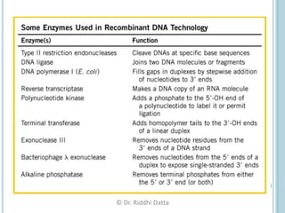 Basics of Gene cloning | PDF