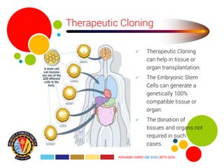 Gene cloning | PDF