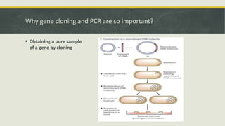 Gene cloning | PPTX