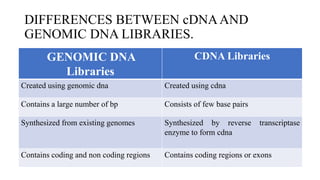 Gene cloning | PPTX | Biotech and Biomedical Industry | Industries