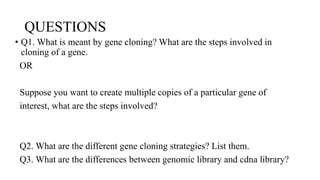 QUESTIONS
• Q1. What is meant by gene cloning? What are the steps involved in
cloning of a gene.
OR
Suppose you want to create multiple copies of a particular gene of
interest, what are the steps involved?
Q2. What are the different gene cloning strategies? List them.
Q3. What are the differences between genomic library and cdna library?
 