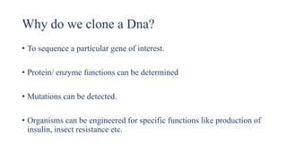 Why do we clone a Dna?
• To sequence a particular gene of interest.
• Protein/ enzyme functions can be determined
• Mutations can be detected.
• Organisms can be engineered for specific functions like production of
insulin, insect resistance etc.
 
