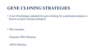 GENE CLONING STRATEGIES
• A set of techniques adopted for gene cloning for a particular purpose is
known as gene cloning strategies.
• This includes:
Genomic DNA libraries,
cDNA libraries.
 