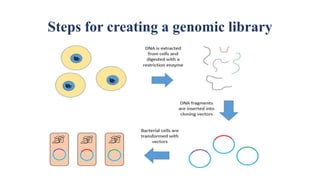 Steps for creating a genomic library
 