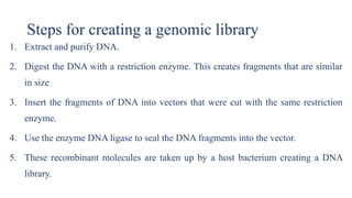 Steps for creating a genomic library
1. Extract and purify DNA.
2. Digest the DNA with a restriction enzyme. This creates fragments that are similar
in size
3. Insert the fragments of DNA into vectors that were cut with the same restriction
enzyme.
4. Use the enzyme DNA ligase to seal the DNA fragments into the vector.
5. These recombinant molecules are taken up by a host bacterium creating a DNA
library.
 