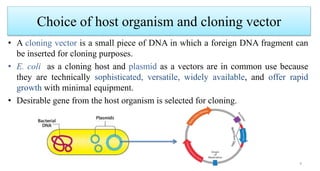 Gene Cloning.pptx