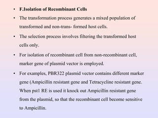 Gene cloning.ppt