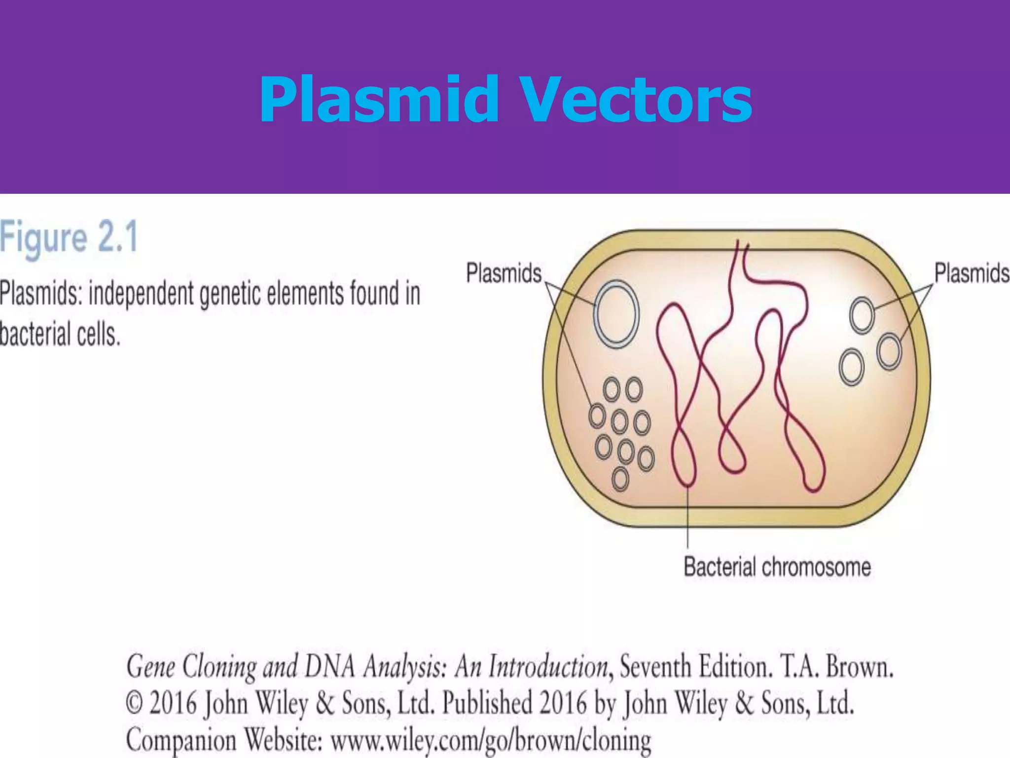 Gene Cloning.ppt