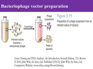Gene Cloning.ppt