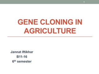 GENE CLONING IN
AGRICULTURE
Jannat Iftikhar
B11-16
6th semester
1
 