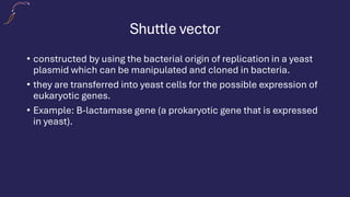 Shuttle vector
• constructed by using the bacterial origin of replication in a yeast
plasmid which can be manipulated and cloned in bacteria.
• they are transferred into yeast cells for the possible expression of
eukaryotic genes.
• Example: B-lactamase gene (a prokaryotic gene that is expressed
in yeast).
 