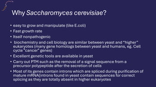 Why Saccharomyces cerevisiae?
• easy to grow and manipulate (like E.coli)
• Fast growth rate
• Itself nonpathogenic
• biochemistry and cell biology are similar between yeast and “higher”
eukaryotes (many gene homologs between yeast and humans, eg. Cell
cycle "cancer" genes)
• Excellent genetic tools are available in yeast
• Carry out PTM such as the removal of a signal sequence from a
precursor polypeptide after the secretion of cells
• Most of its genes contain introns which are spliced during purification of
mature mRNA)introns found in yeast contain sequences for correct
splicing as they are totally absent in higher eukaryotes
 