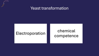 Yeast transformation
Electroporation
chemical
competence
 