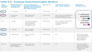 • amino acid
biosynthetic
genes
• nucleotide
biosynthetic
gene
 