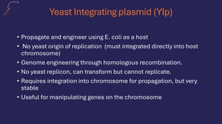 Yeast Integrating plasmid (YIp)
• Propagate and engineer using E. coli as a host
• No yeast origin of replication (must integrated directly into host
chromosome)
• Genome engineering through homologous recombination.
• No yeast replicon, can transform but cannot replicate.
• Requires integration into chromosome for propagation, but very
stable
• Useful for manipulating genes on the chromosome
 